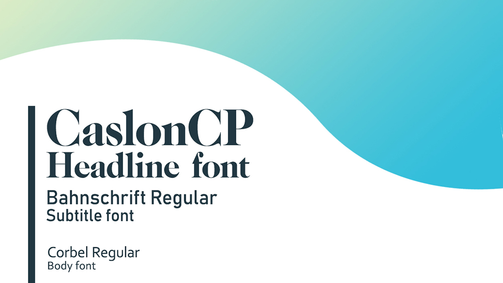 Typography for Akaal Animal Clinic, a veterinary office.