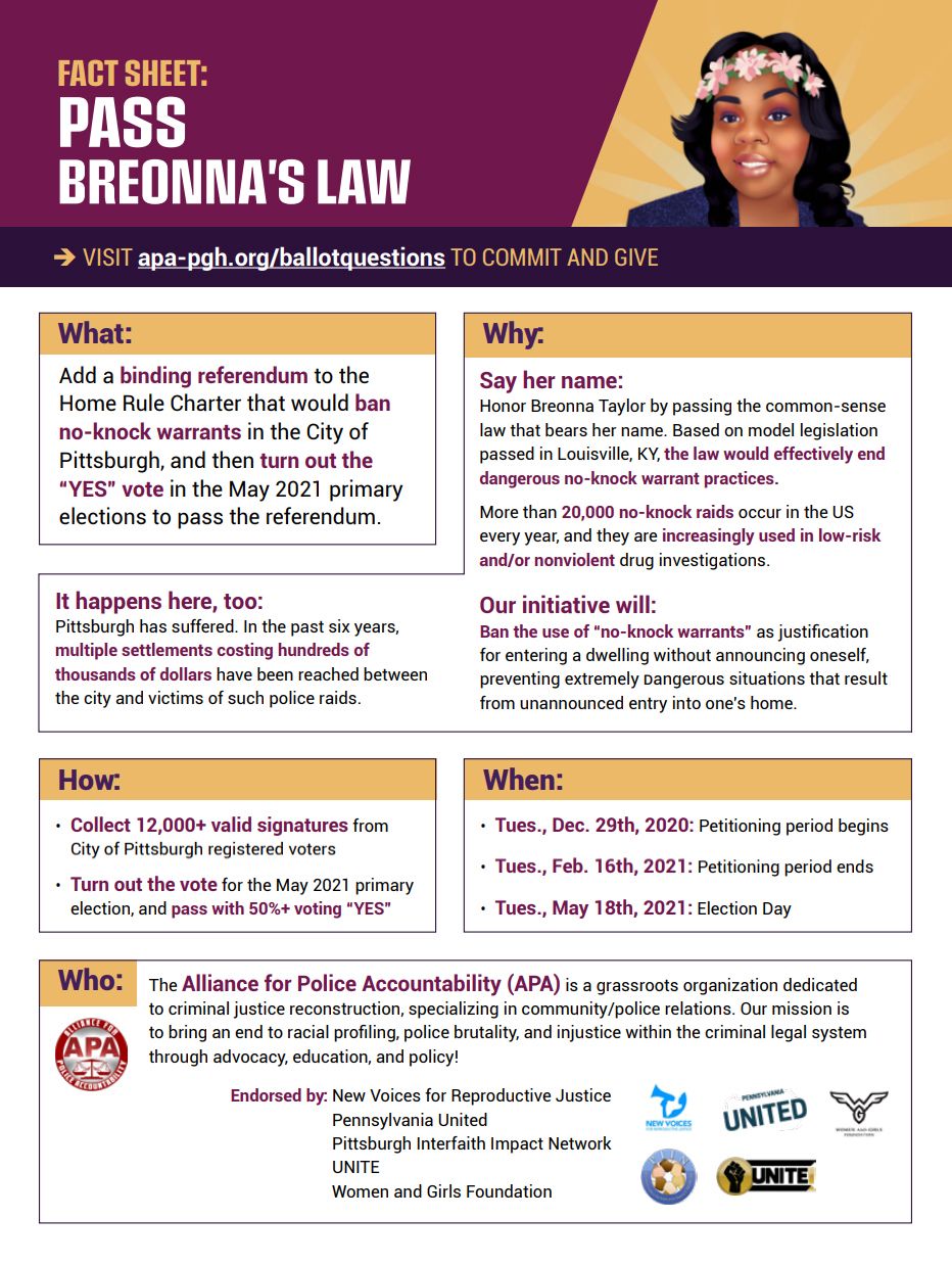 Fact sheet for the campaign to pass Breonna's Law.