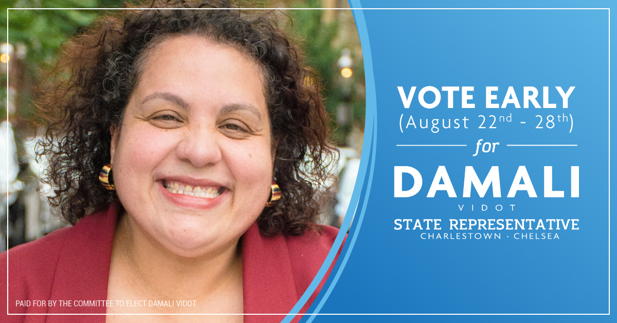 Graphic for Damali Vidot for State Representative. Part of a campaign package for the Committee to Elect Damali Vidot.