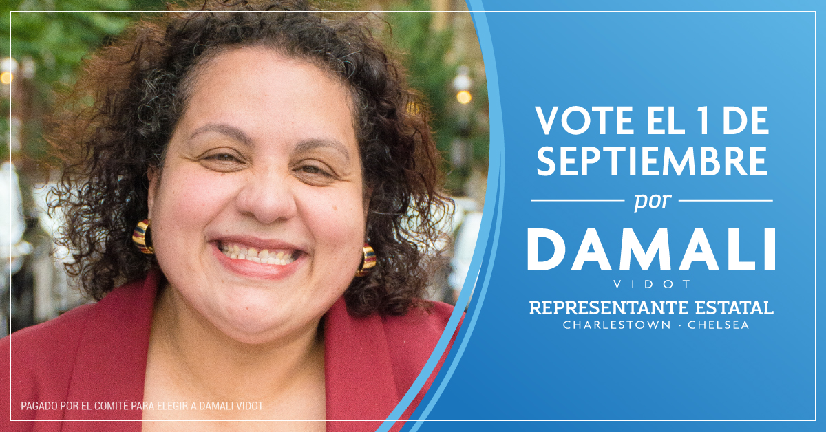 Graphic for Damali Vidot for State Representative.