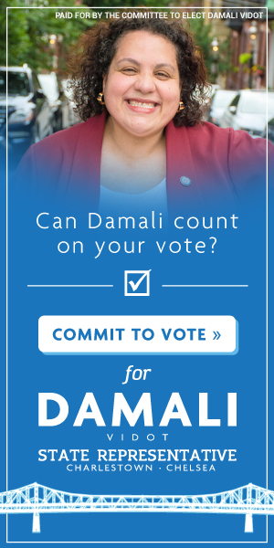 Graphic for Damali Vidot for State Representative.