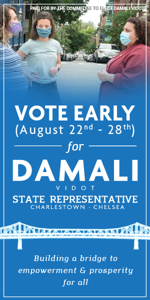 Graphic for Damali Vidot for State Representative.