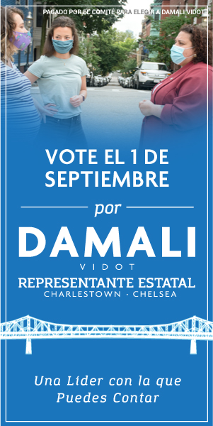 Graphic for Damali Vidot for State Representative.