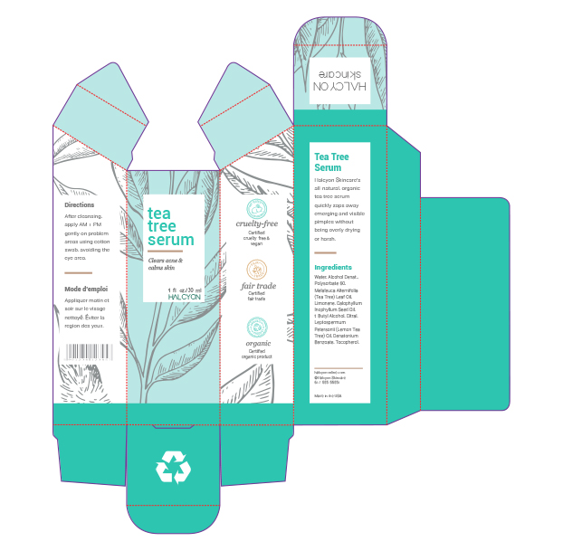 Flat package design with die lines for Halcyon Skincare.
