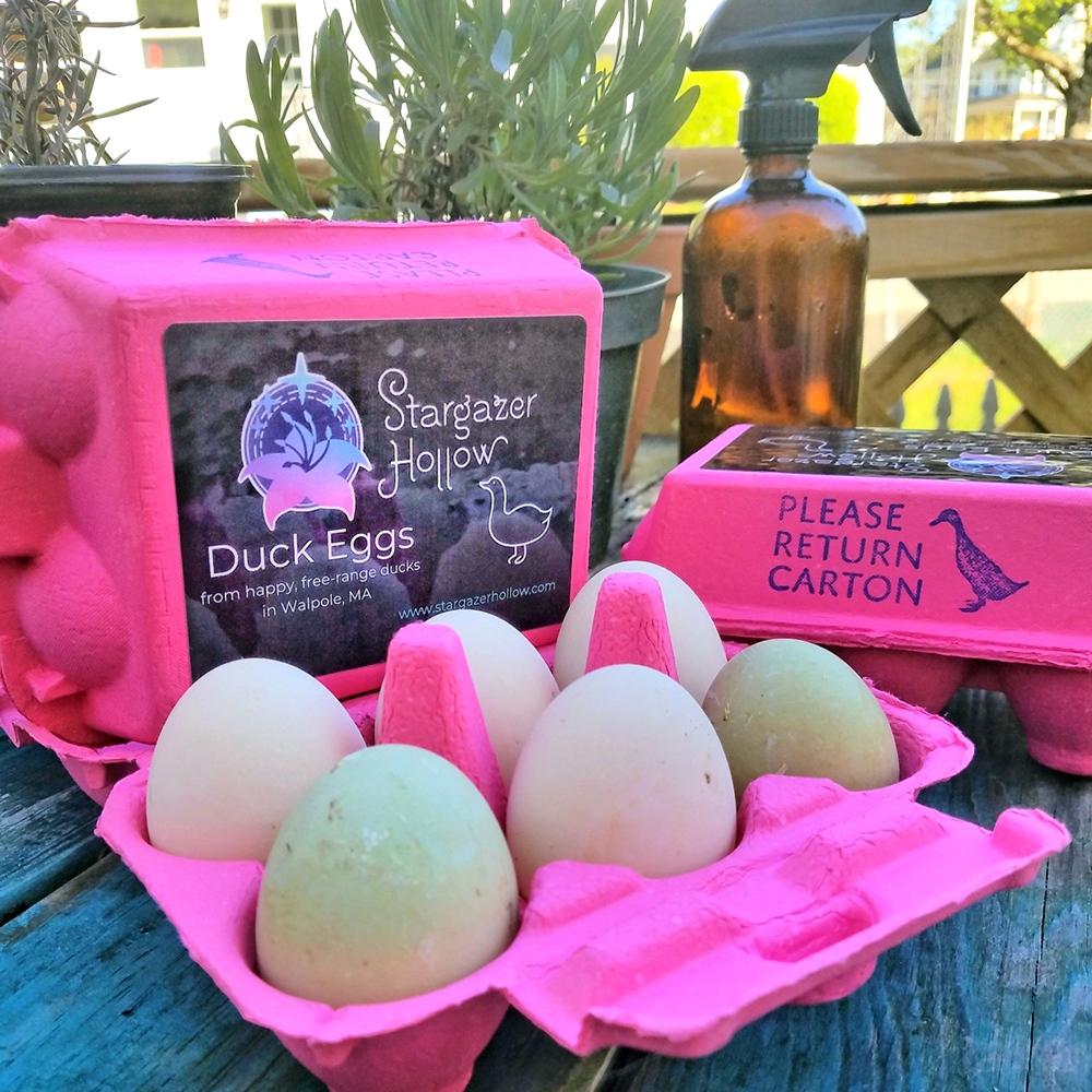 Branded egg carton for Stargazer Hollow, a family-owned farm.