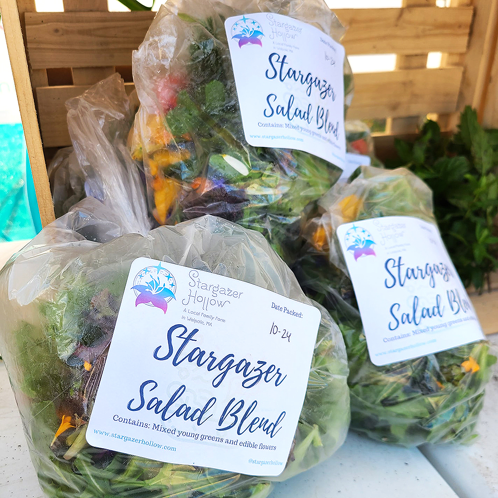 Branded label for Logo for Stargazer Hollow, a family-owned farm.