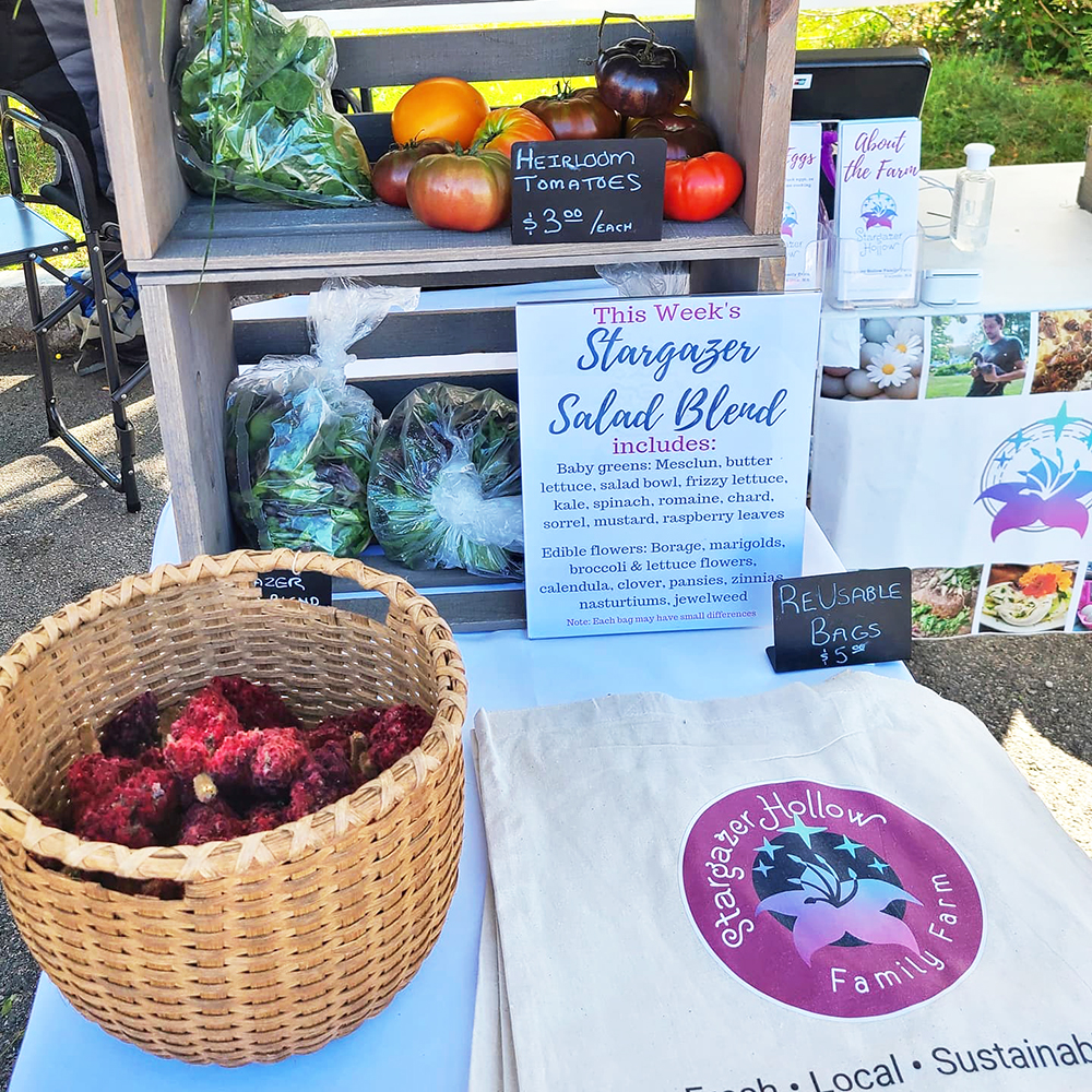 Branded tote bag for Logo for Stargazer Hollow, a family-owned farm.