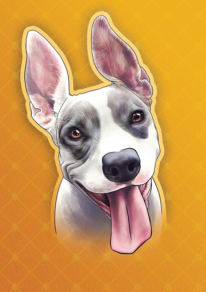Digital portrait of a mostly white bully breed dog smiling at the camera. She has large grey markings over both of her eyes and large floppy ears.